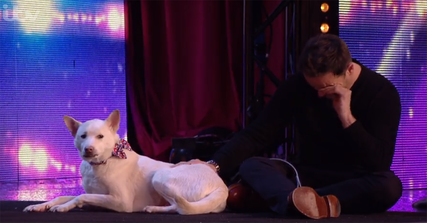 Ant McPartlin with dog