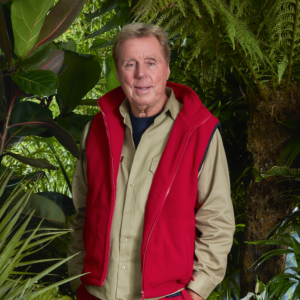 Harry Redknapp I'm A Celebrity