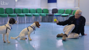 Paul O'Grady For the Love of Dogs