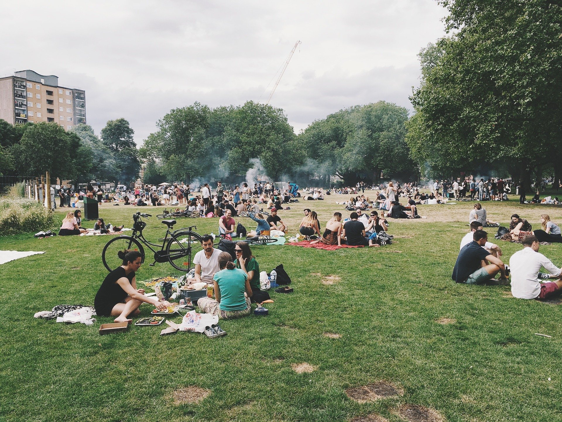Picnics in the park