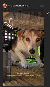 EastEnders star Maisie Smith left devastated after her dog Benny dies