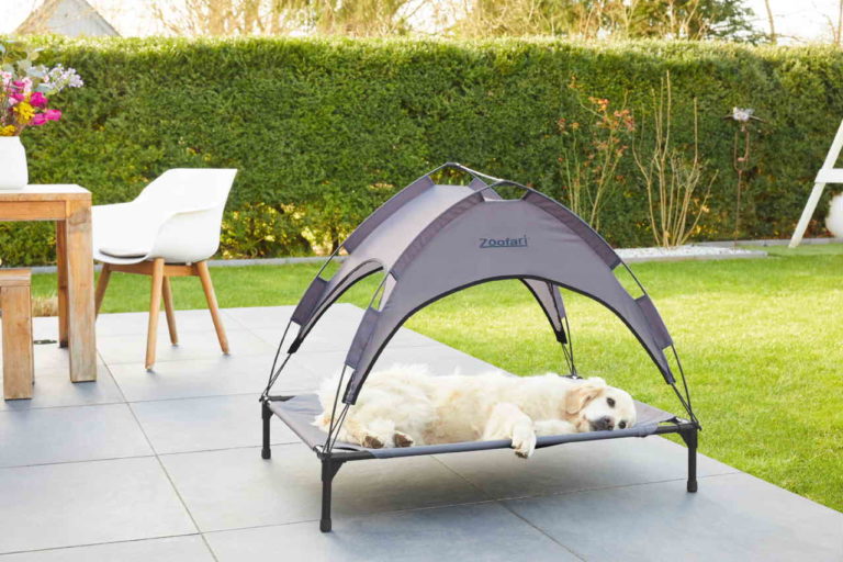 Lidl launches dog sun bed in time for the heatwave Entertainment Daily
