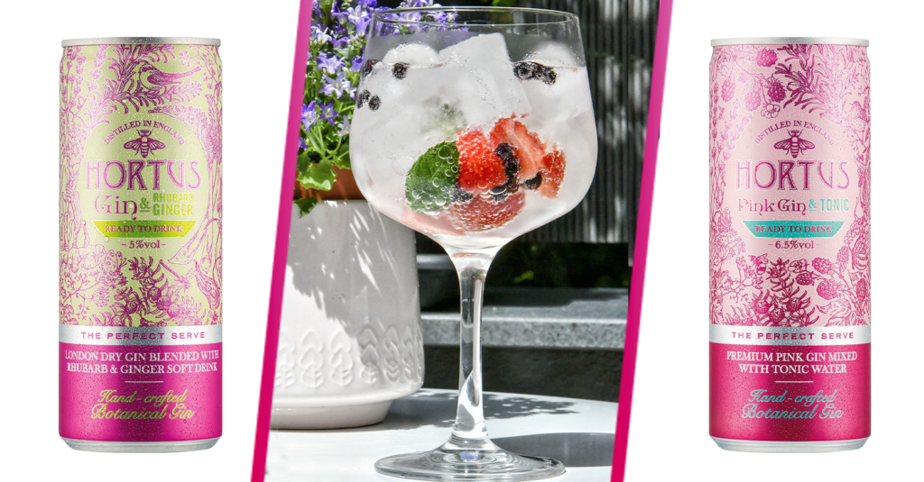 Readytodrink gin in a tin range goes on sale at Lidl Entertainment