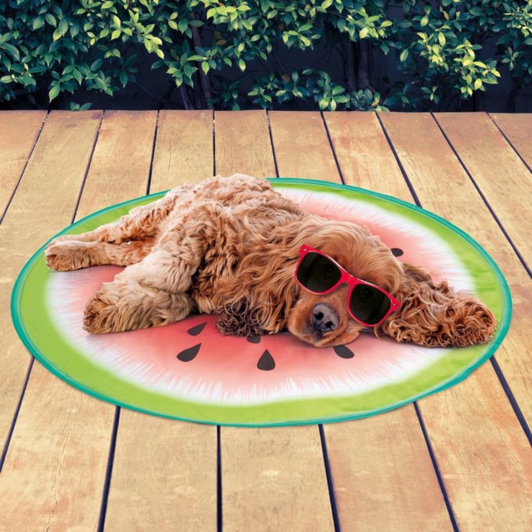 B&M's £5 dog cooling mat is back for summer Entertainment Daily
