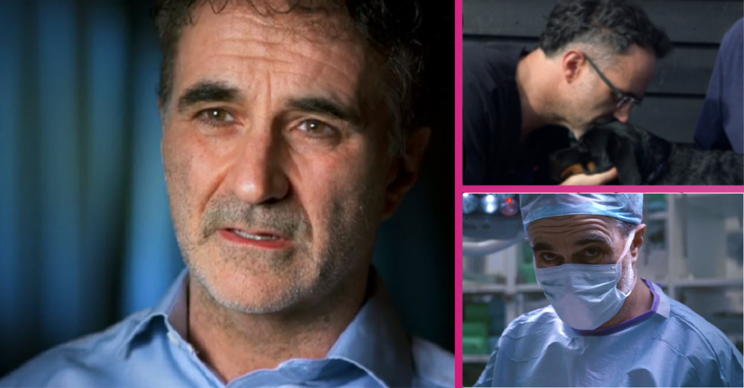 Supervet