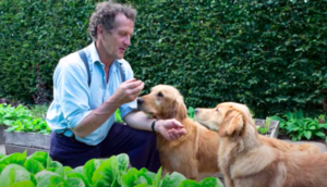monty don