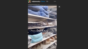 Joe Swash shops for dog beds (Joe Swash Instagram)