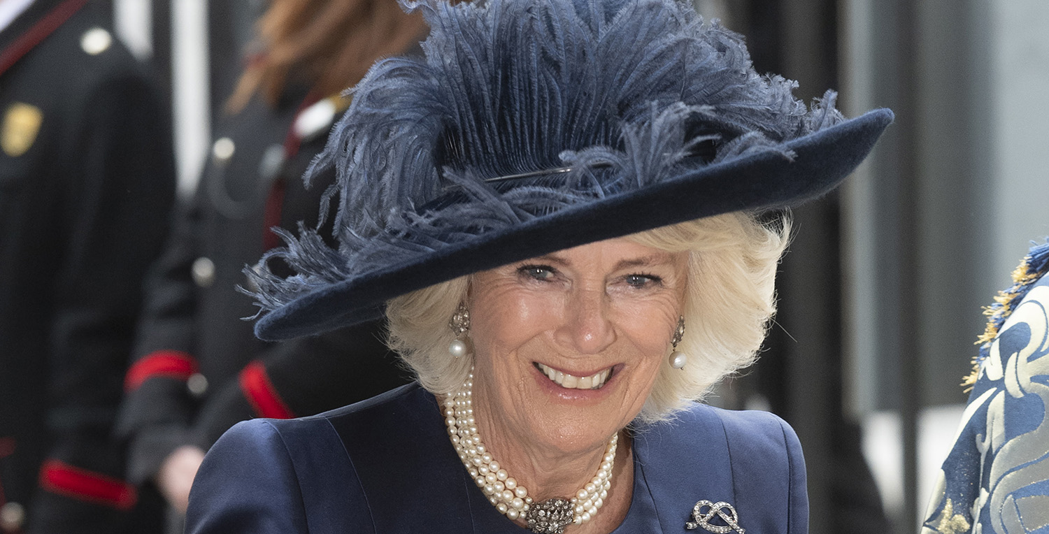 Camilla Duchess of Cornwall praised for 'lovely' outfit as she meets