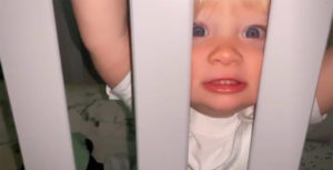 charley webb son ace