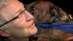 For the Love of Dogs