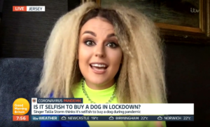 Tallia Storm criticises buying dogs during lockdown