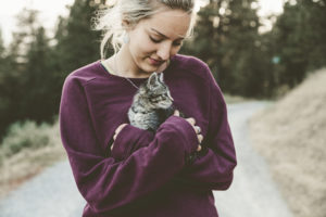 cat