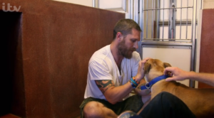 Tom Hardy on For the Love of Dogs