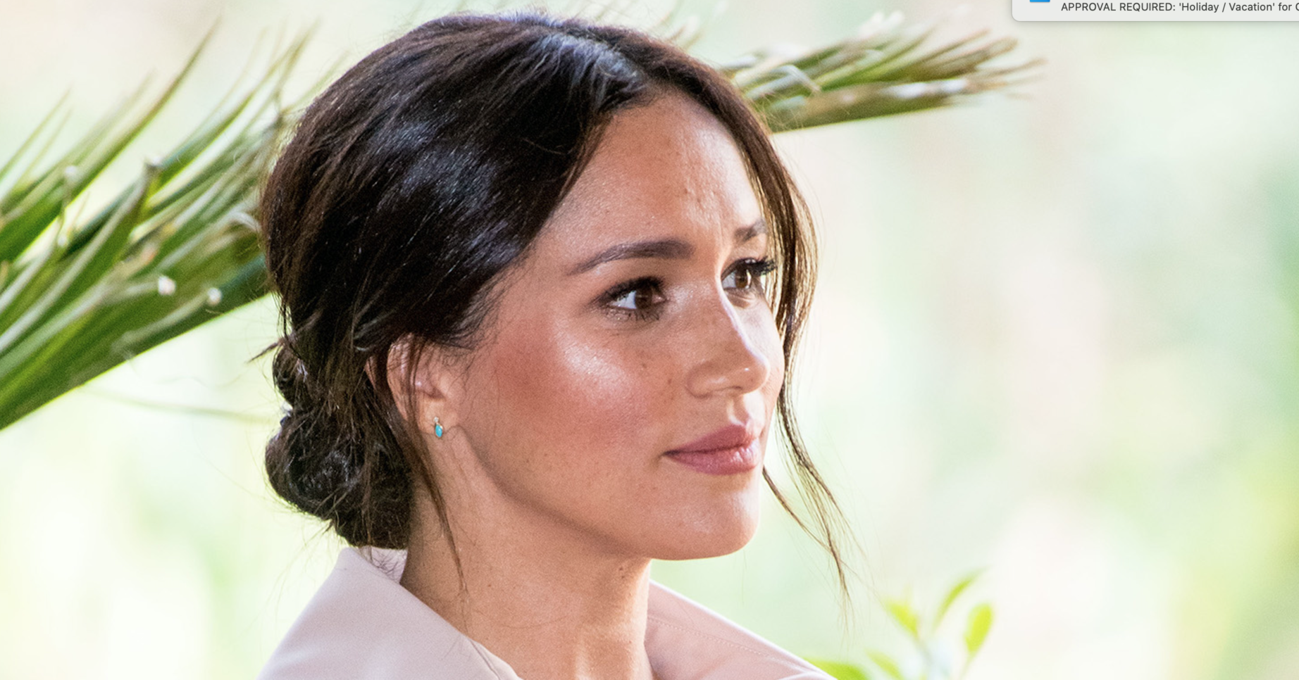 Meghan Markle Omid Scobie book