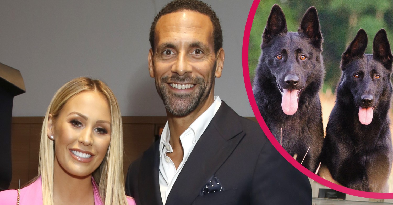 kate ferdinand rio ferdinand dogs