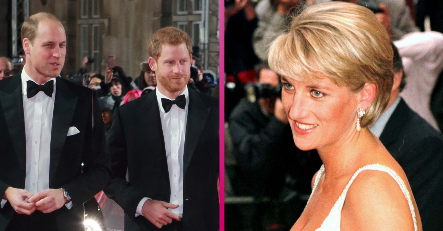 prince harry prince william princess diana