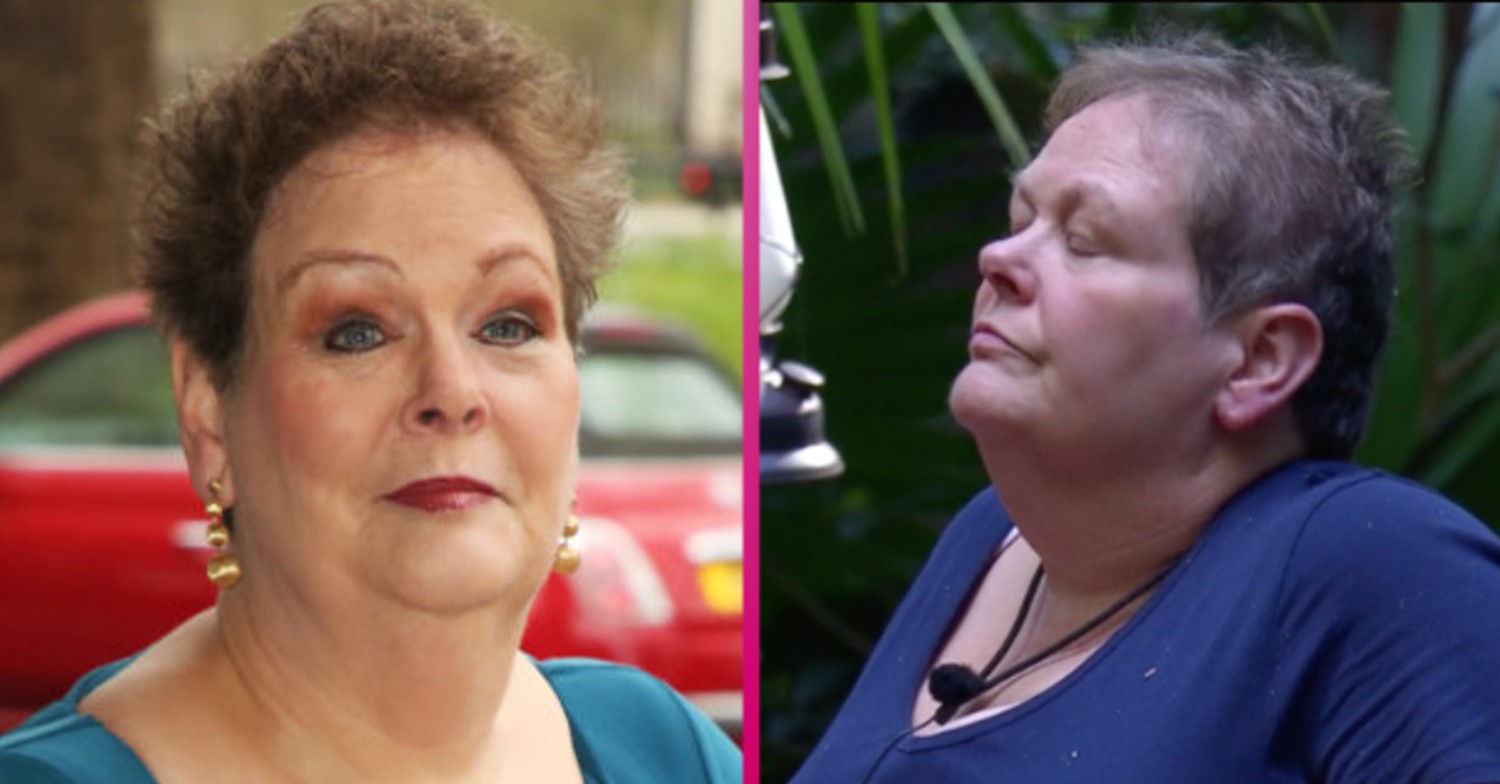anne hegerty chase