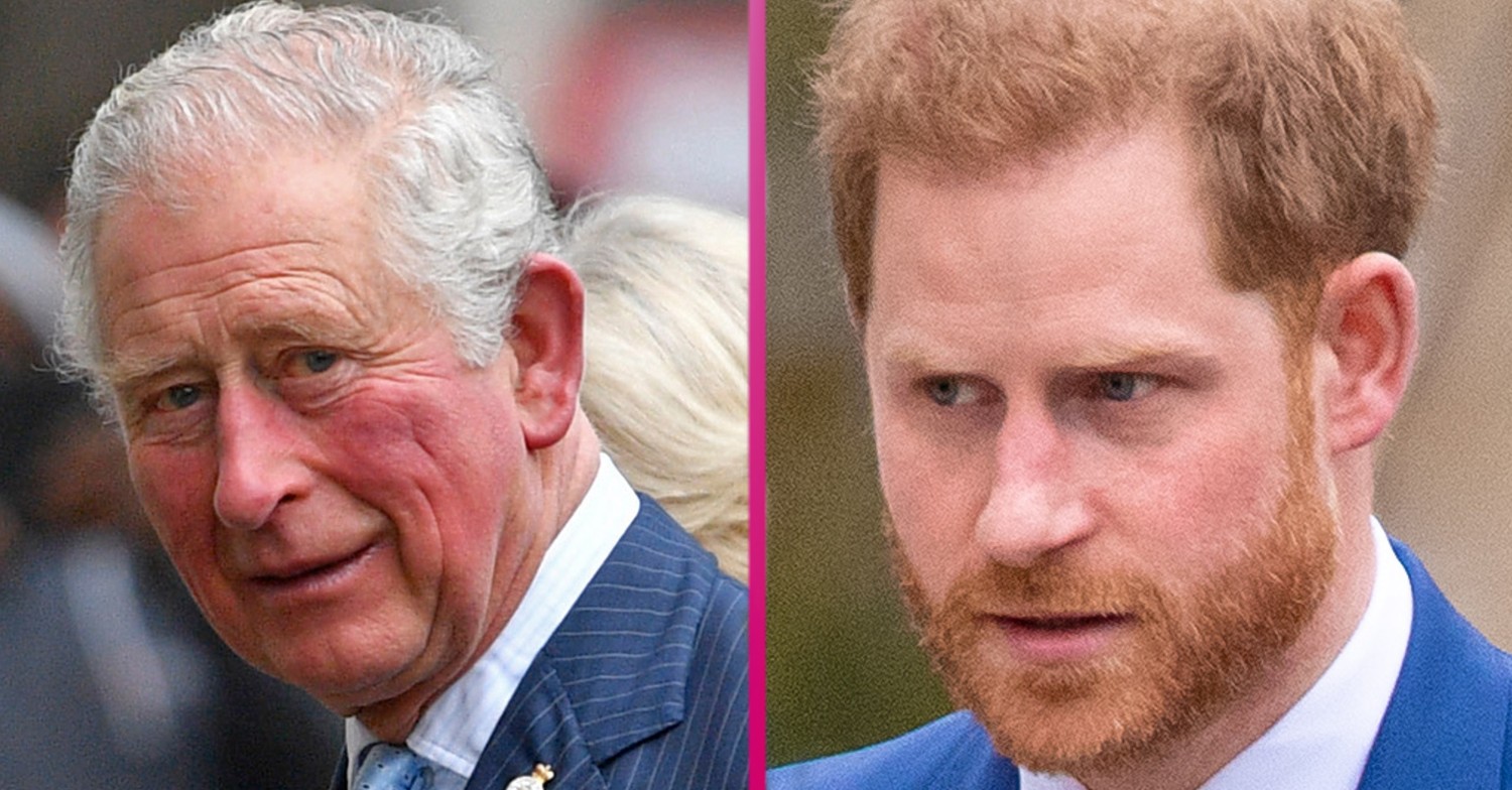 prince harry prince charles