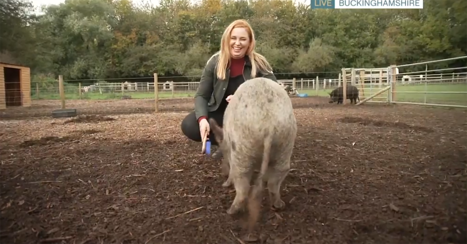 Josie Gibson This Morning