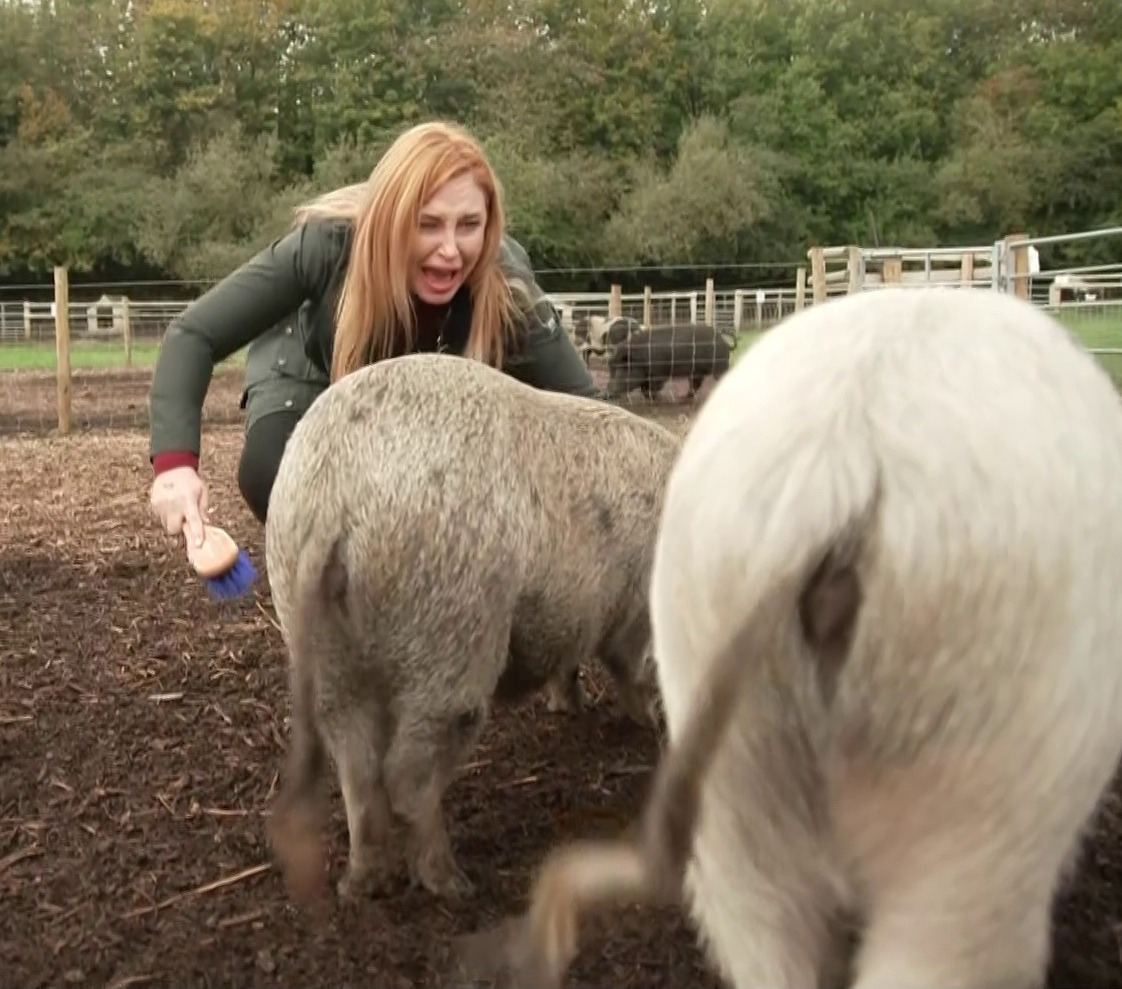 Josie Gibson on This Morning