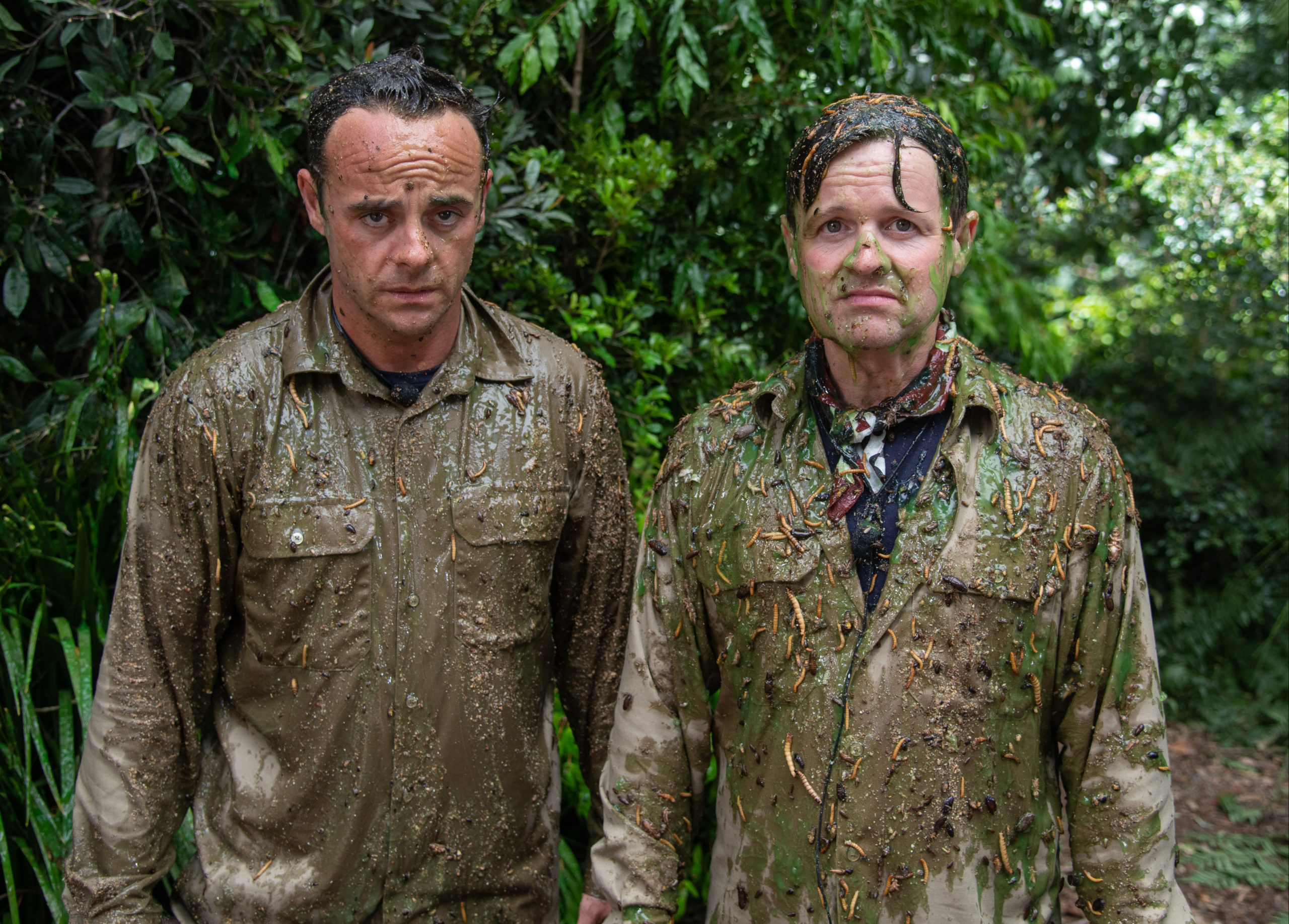 What could be better than a holiday in Australia with Ant and Dec? (Credit: ITV)