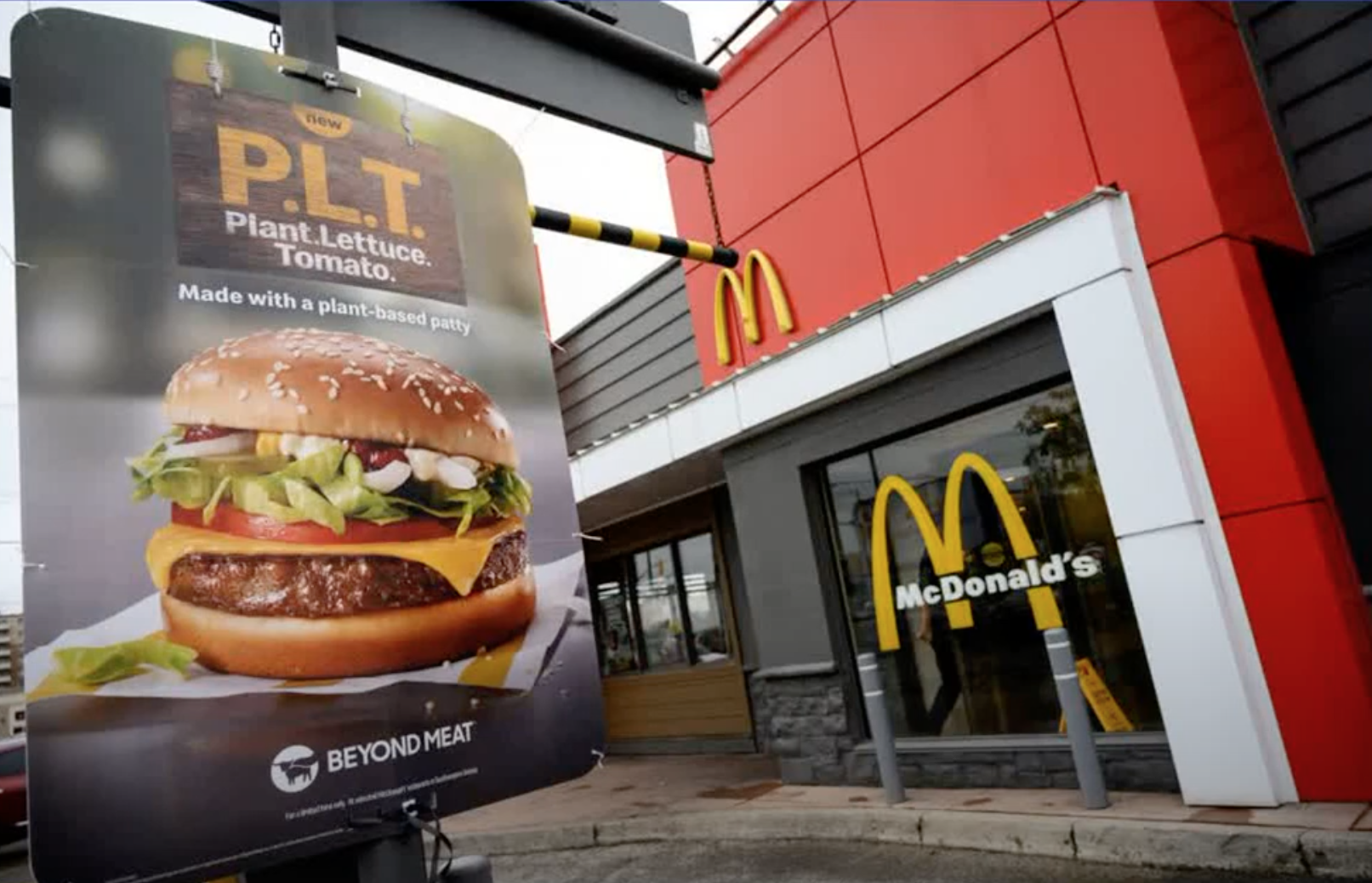 Piers Morgan says vegan burgers cant be called burger