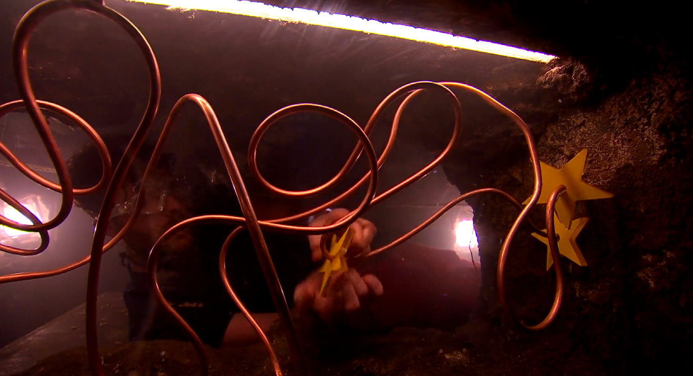 Jordan North on I'm a Celebrity