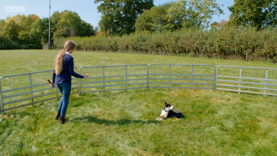 Victoria and Meg on 12 Puppies and Us