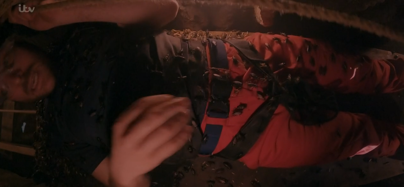 Jordan North on I'm A Celebrity