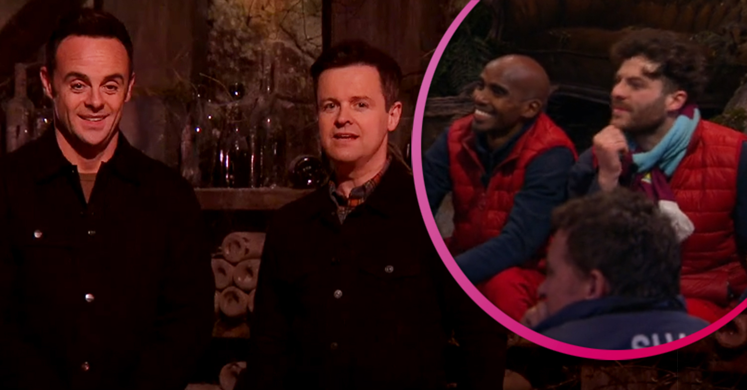 I'm A Celebrity live trial