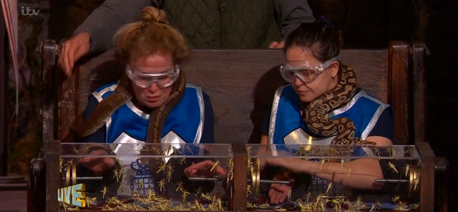 I'm A Celebrity live trial