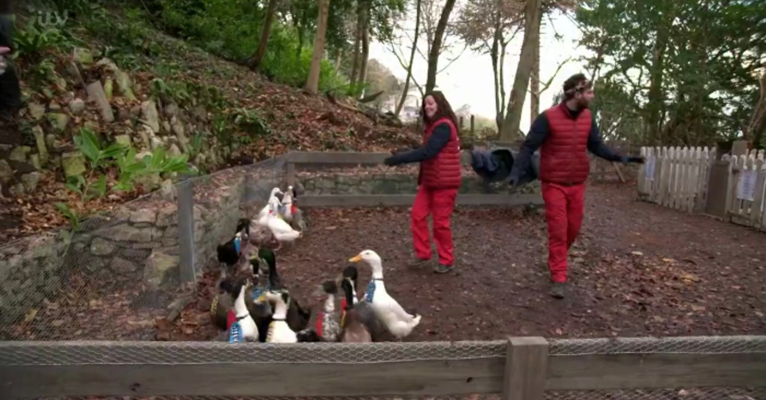 I’m A Celebrity stars Jordan North and Ruthie Henshall