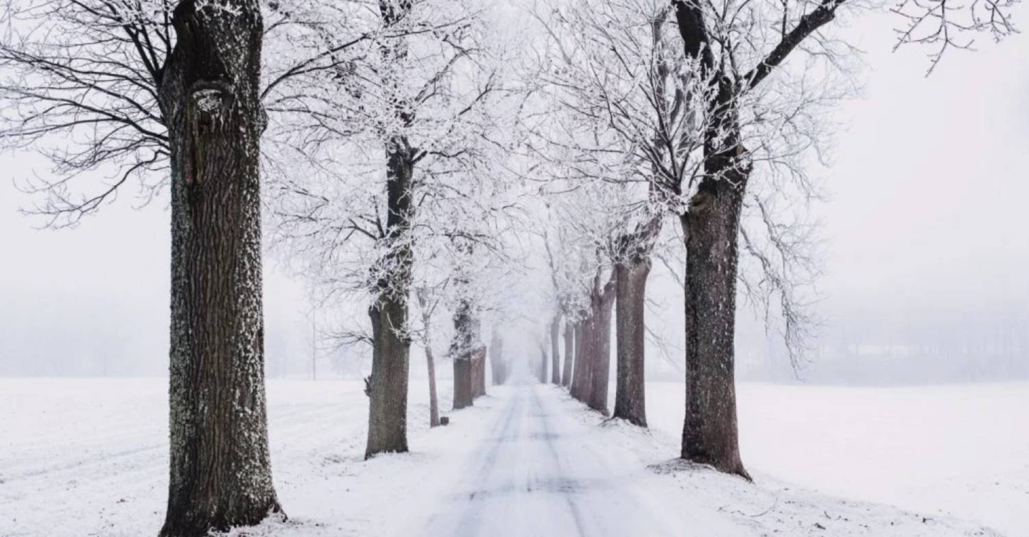 The snow in winter (Credit: Pexels)