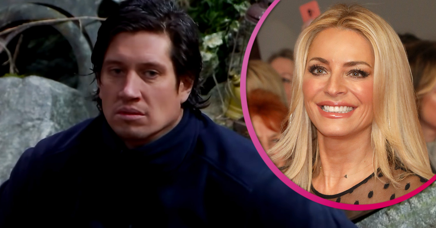 Vernon Kay on I'm A Celebrity 2020