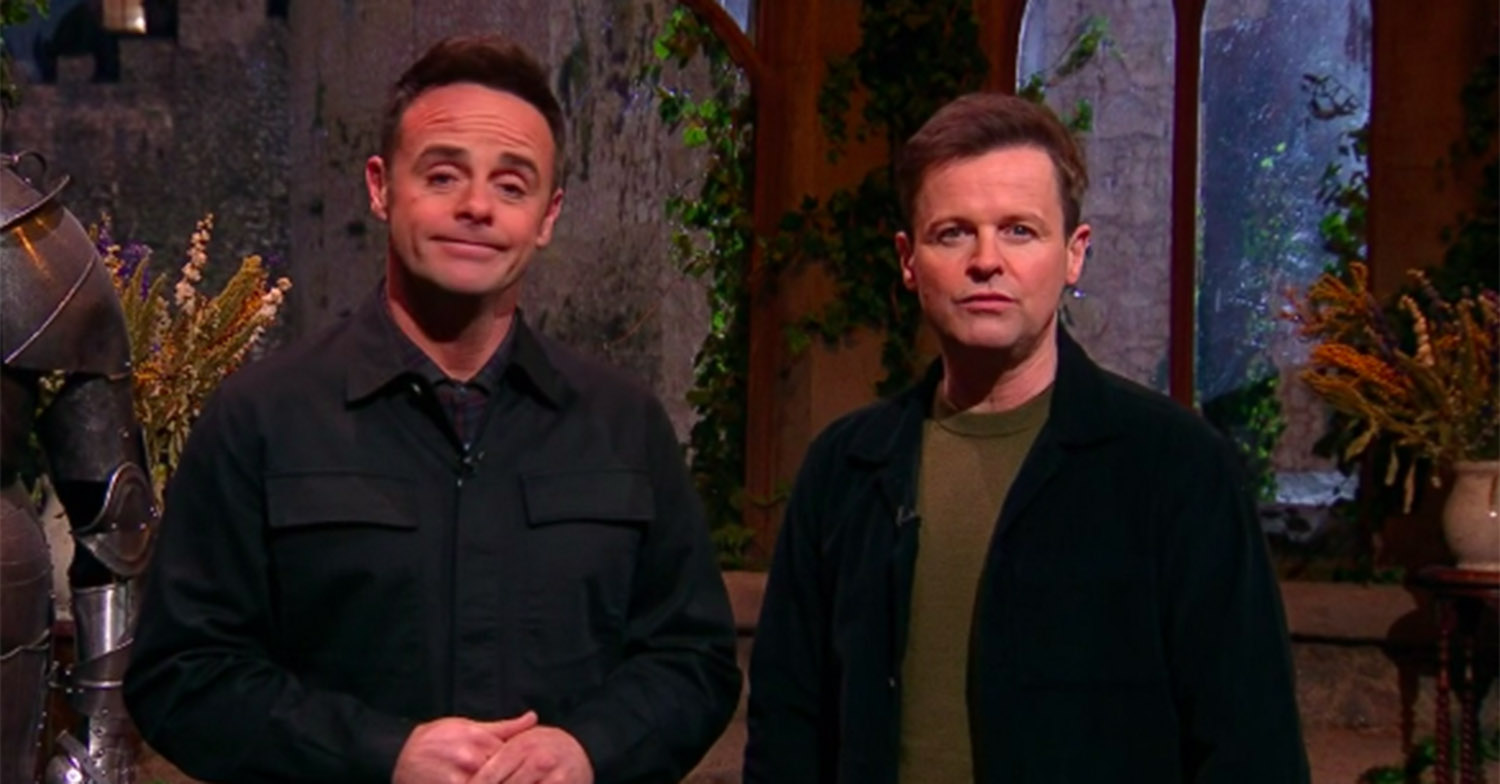 ant and dec i'm a celebrity castle