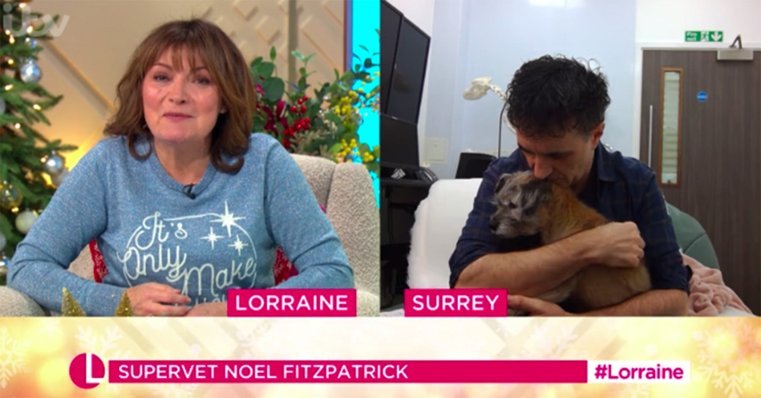 noel fitzpatrick supervet on lorraine