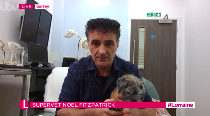supervet on lorraine with his dog
