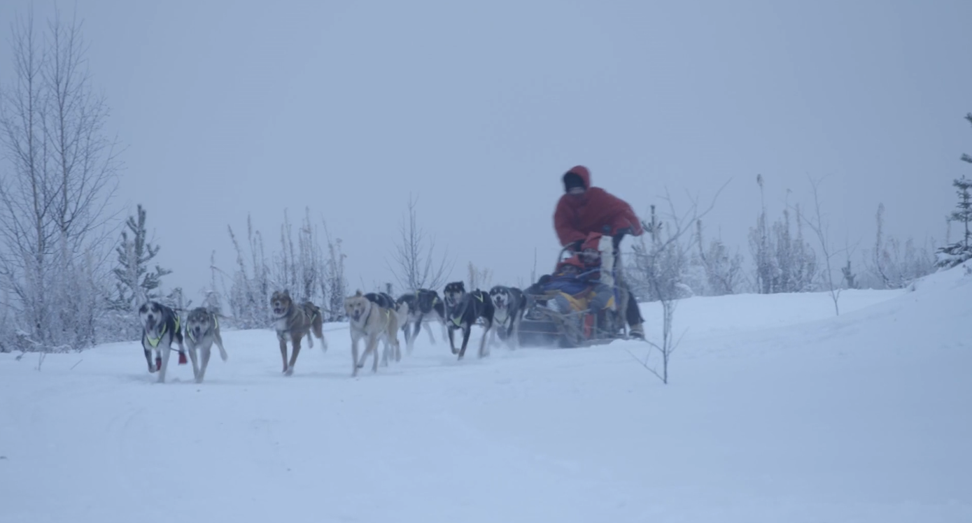 Gordon Gino and Fred Christmas special