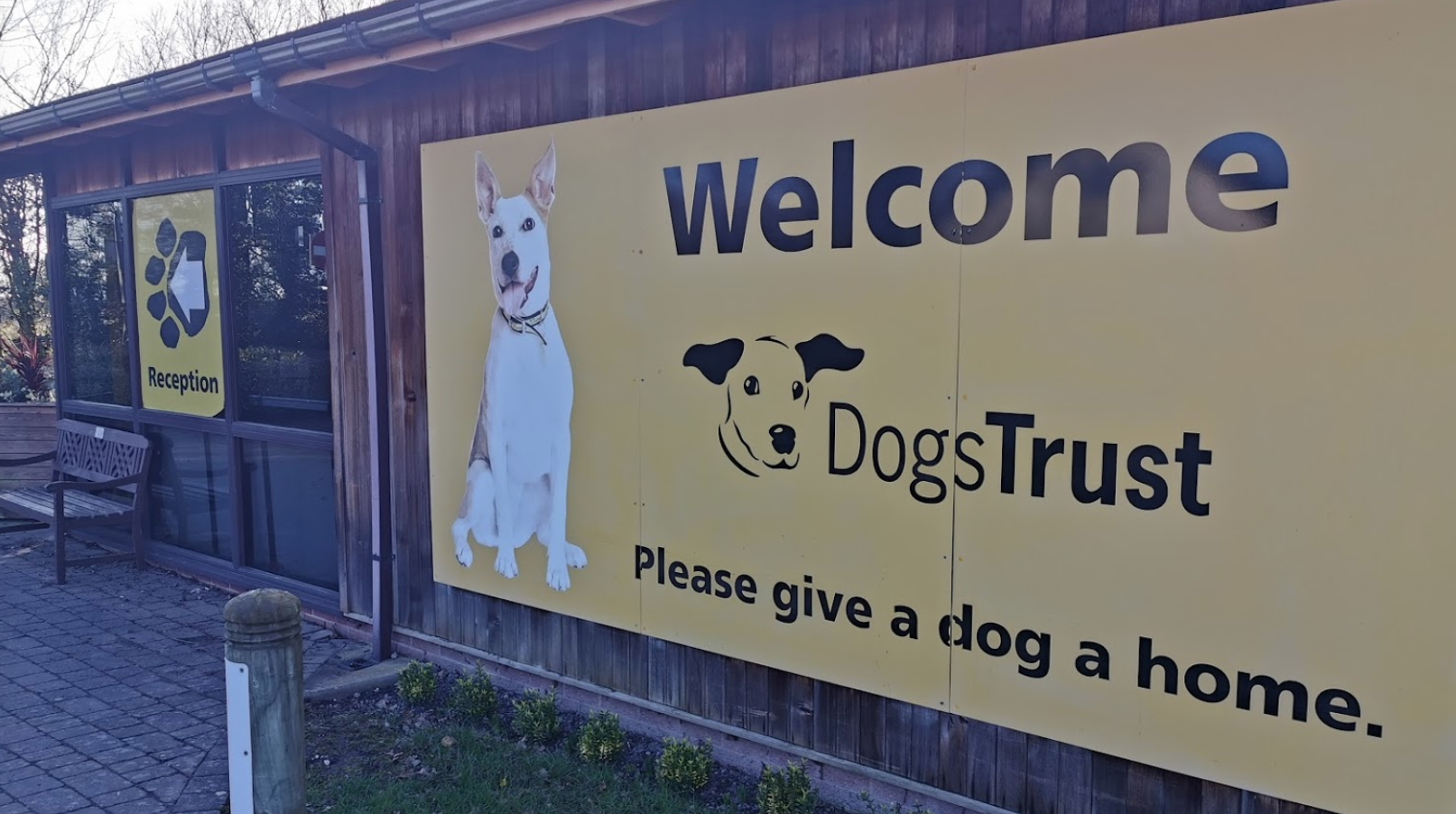 12 Puppies and Us Dogs trust