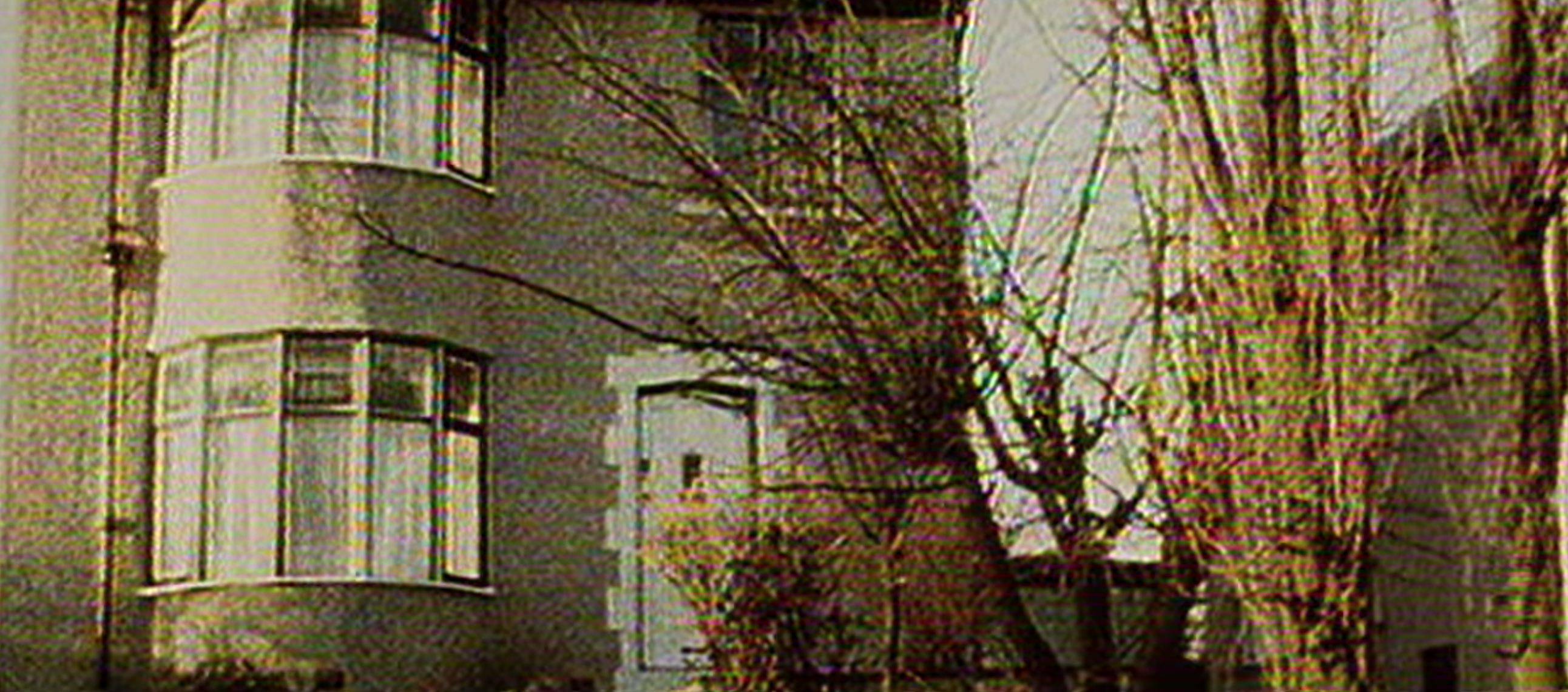 The Ripper wife Sonia Sutcliffe