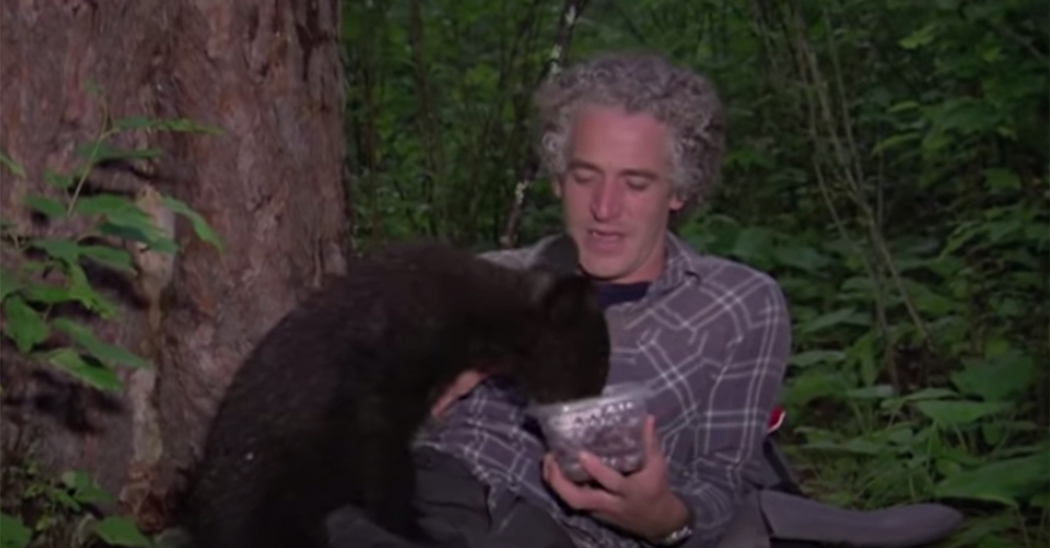 gordon buchanan feeds an abandoned baby bear