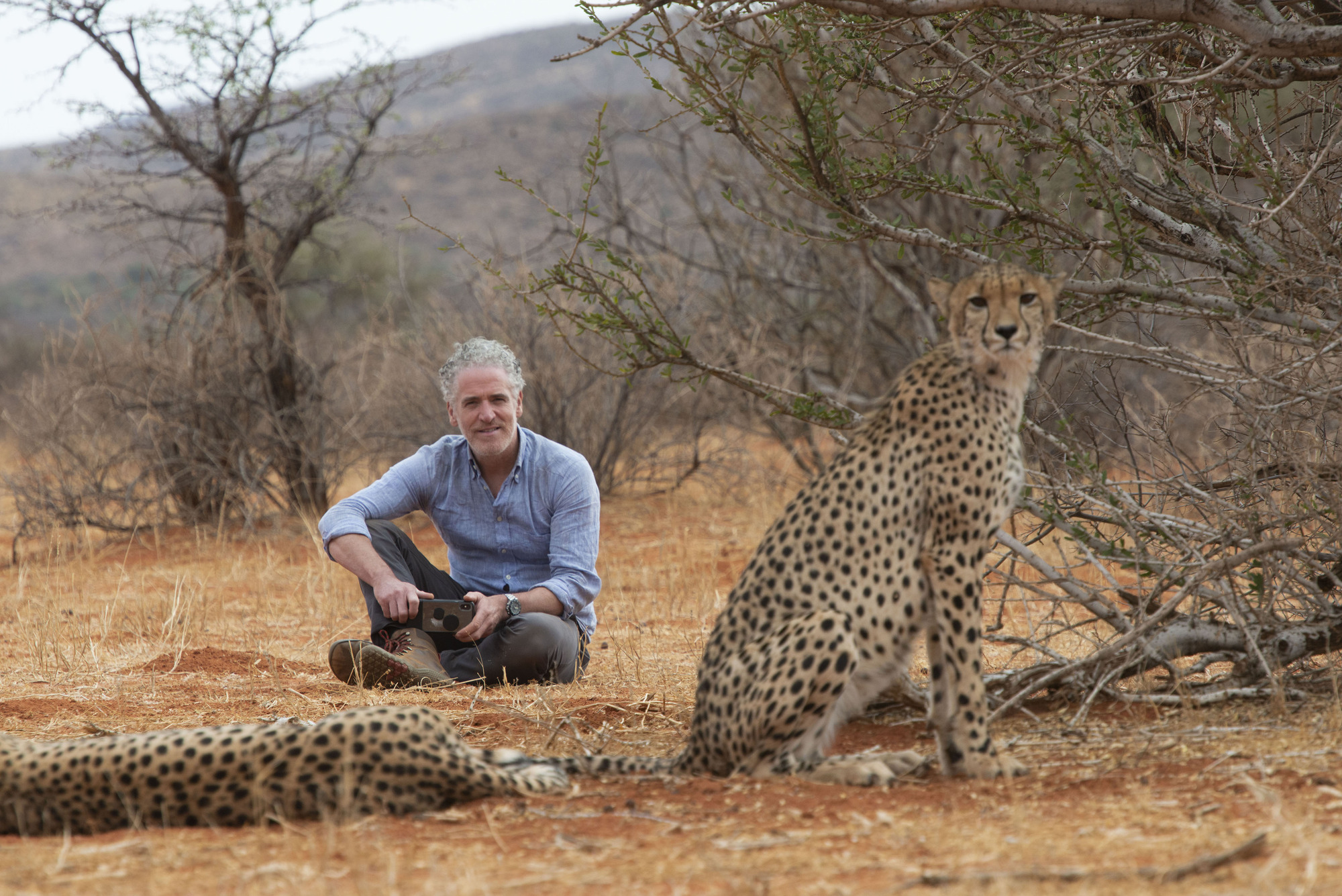 What's on TV tonight? Cheetah Family & Me