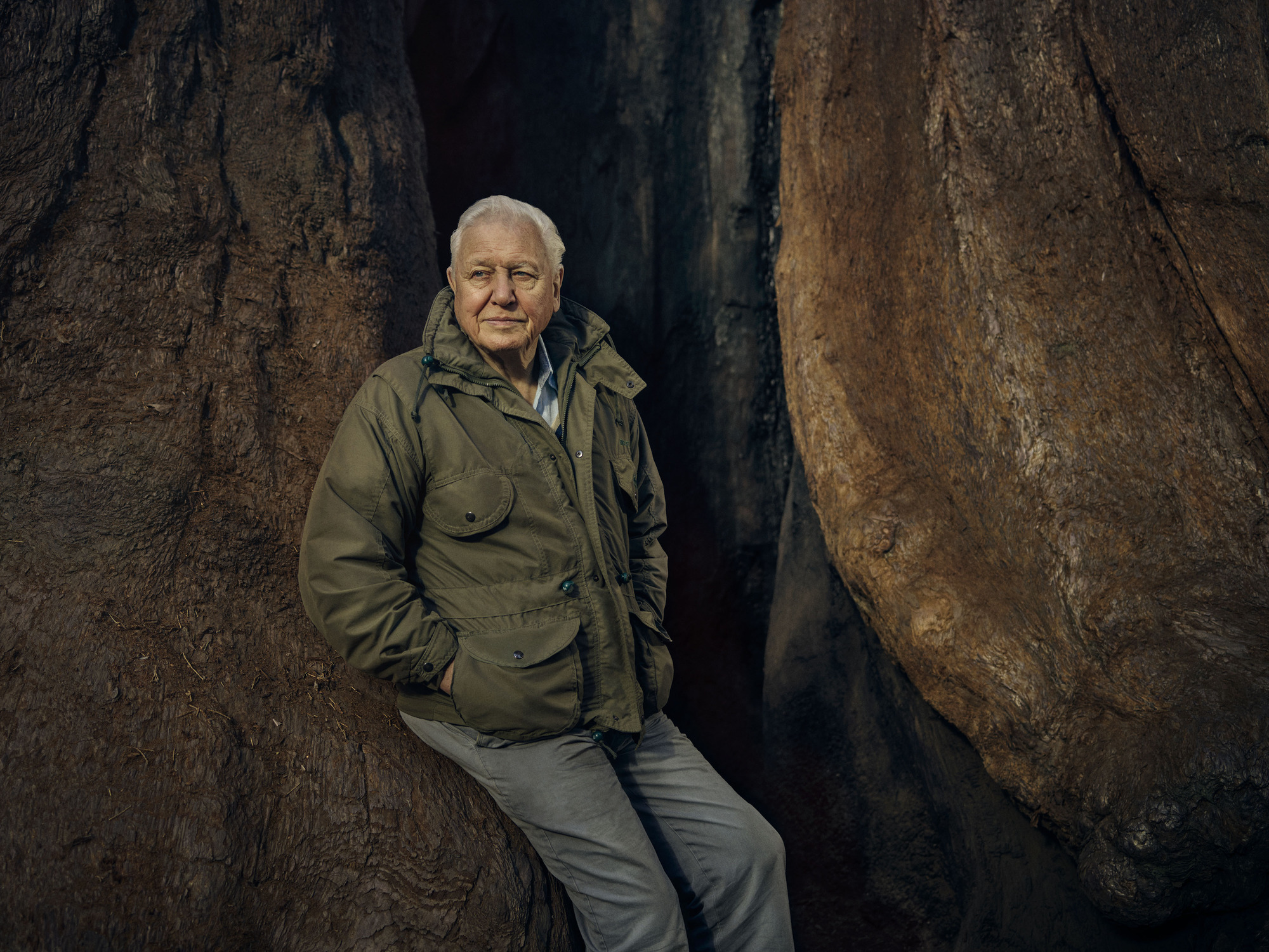 What is David Attenborough's favourite animal?
