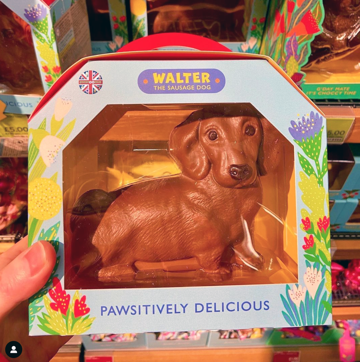 sausage dog Easter egg