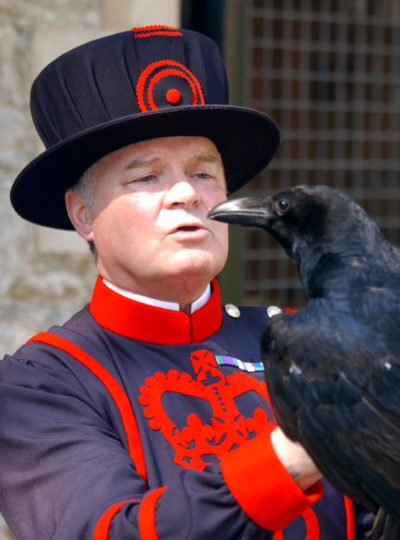 keeper of the ravens at the tower of London