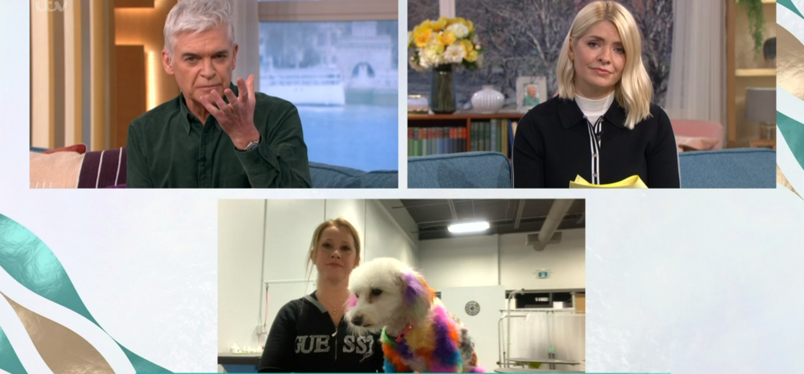 This Morning dog today