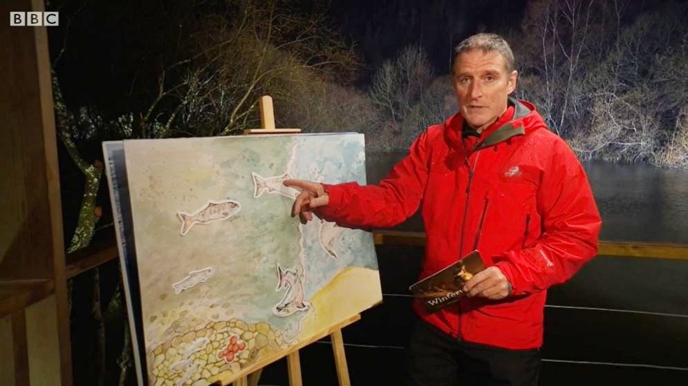 Iolo Williams, who has a wife and two children, is a host on Winterwatch