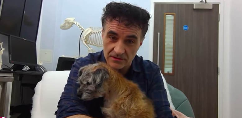 The Supervet Noel Fitzpatrick 
