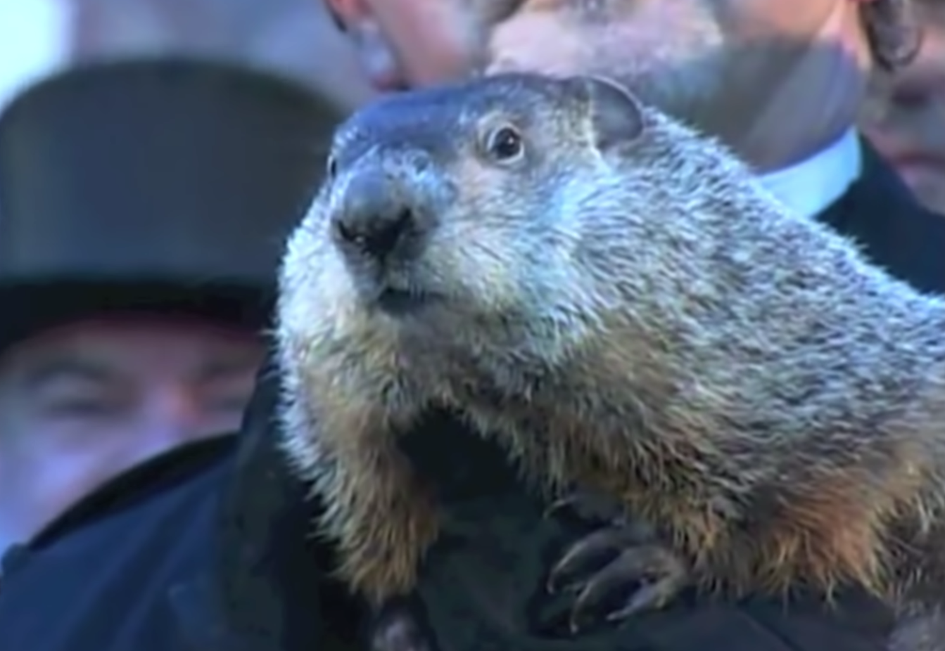 Groundhog Day what is it?