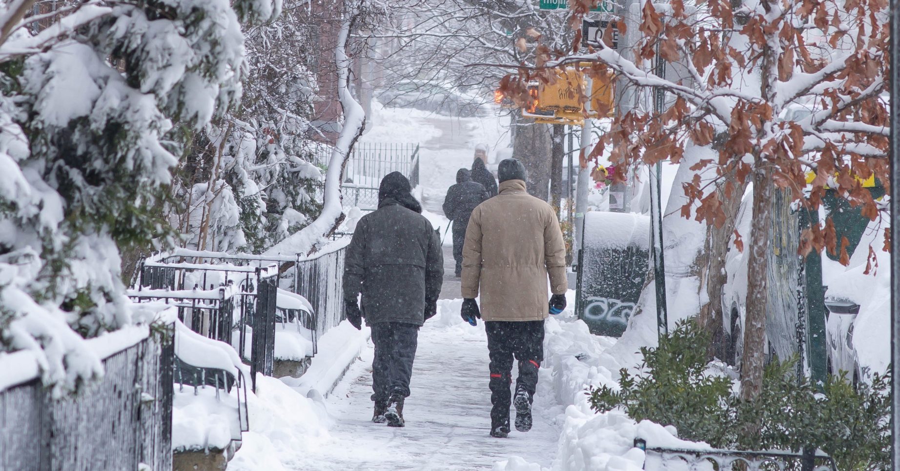 Storm Darcy has been dubbed the Beast From The East 2